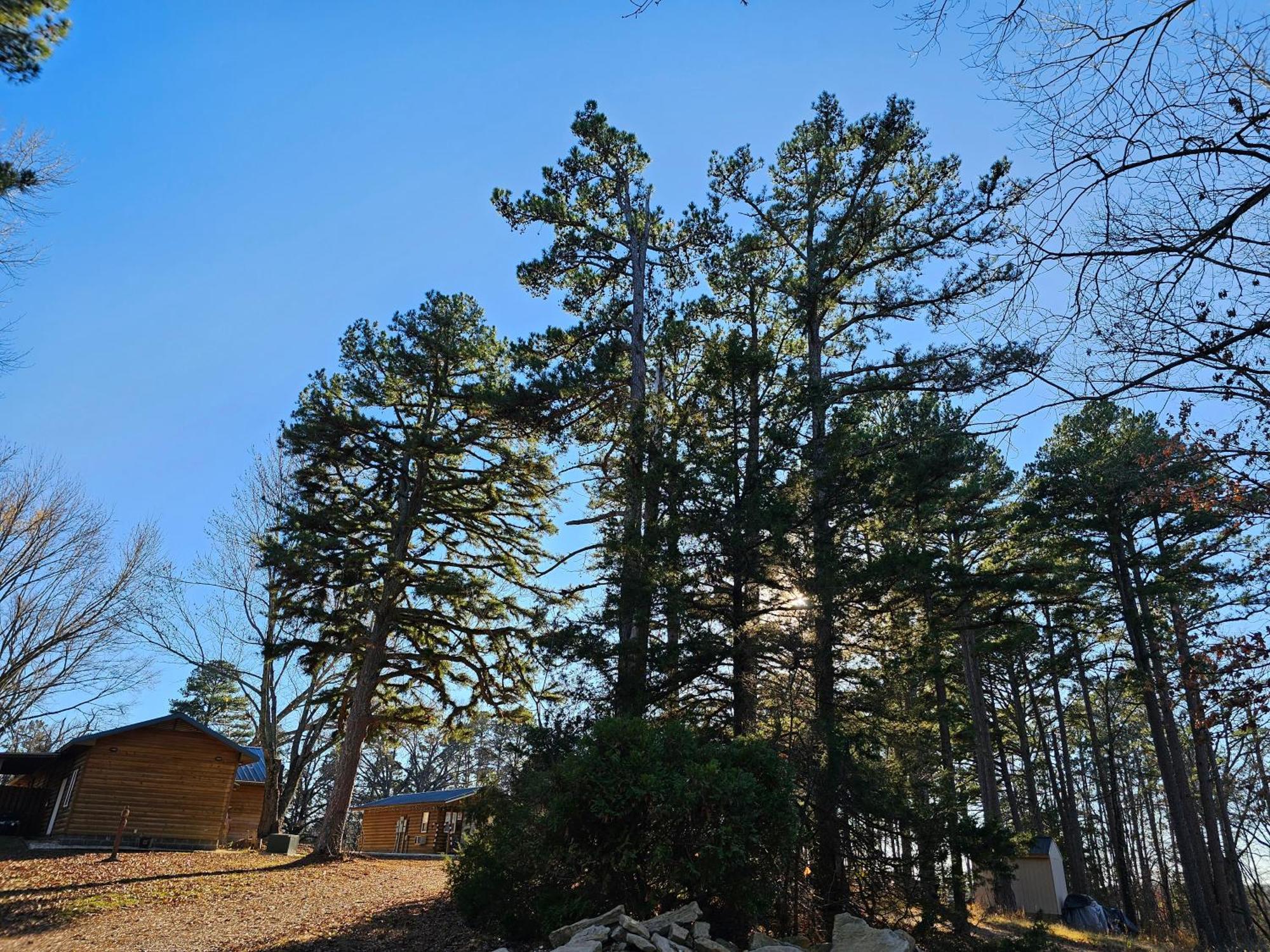 5 Min To Beaver Lake-King Bed-Fire Pit-Jetted Tub #3 Eureka Springs Eksteriør billede